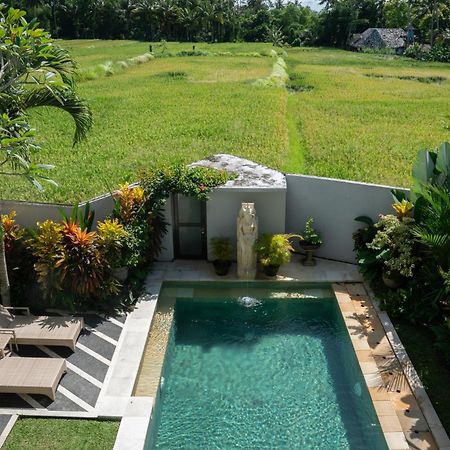 Ananditha Villa Ubud Ricefield Views Exterior foto