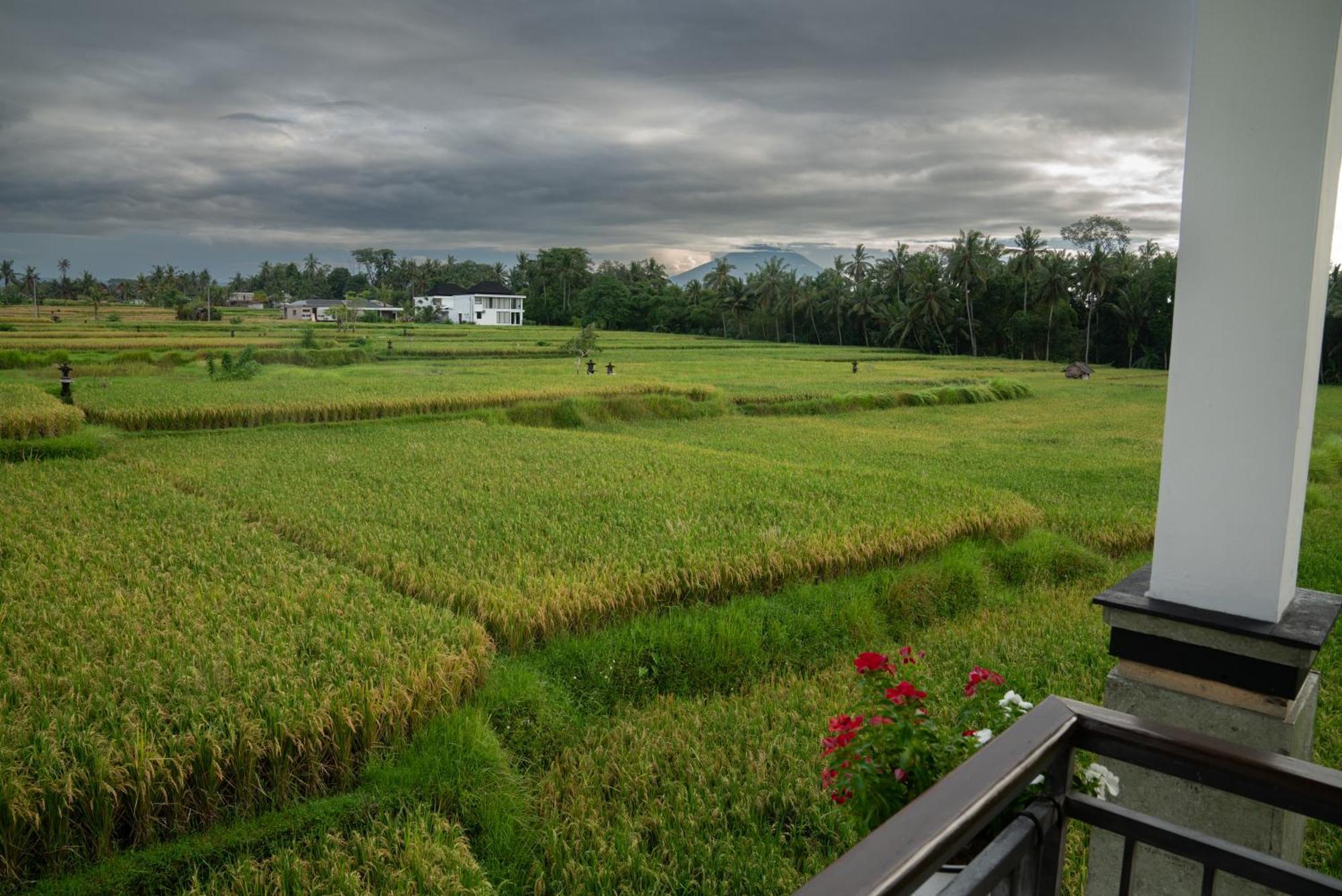 Ananditha Villa Ubud Ricefield Views Exterior foto